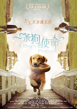 双性总裁羞涩坐莲h