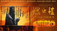 菠萝菠萝蜜影院在线观看高清