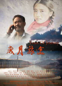 精品视频入口