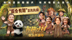 允许的妻子